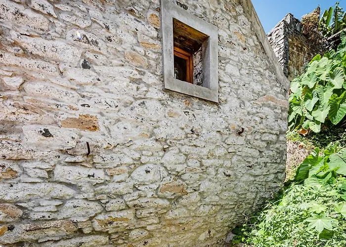 Da Quinta Girassol By Ymr *