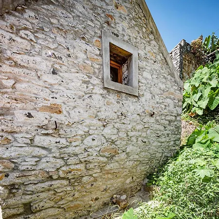 Da Quinta Girassol By Ymr *